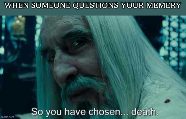 So you have chosen death | WHEN SOMEONE QUESTIONS YOUR MEMERY | image tagged in so you have chosen death,memes | made w/ Imgflip meme maker