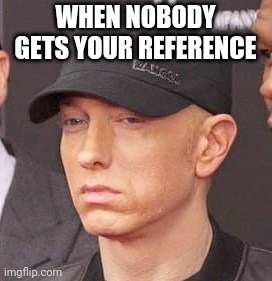 WHEN NOBODY GETS YOUR REFERENCE | image tagged in funny memes,dank memes,slim shady,eminem,memes,rap | made w/ Imgflip meme maker