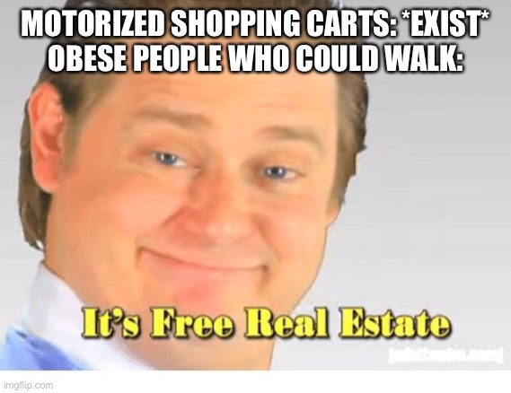 It's Free Real Estate | MOTORIZED SHOPPING CARTS: *EXIST*
OBESE PEOPLE WHO COULD WALK: | image tagged in it's free real estate | made w/ Imgflip meme maker