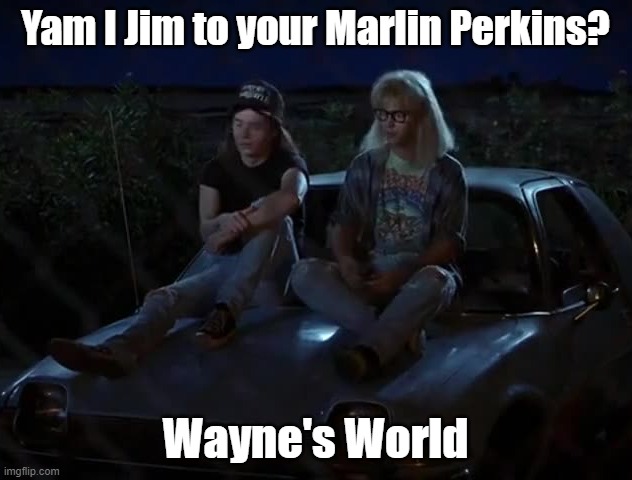 Wayne's World | Yam I Jim to your Marlin Perkins? Wayne's World | image tagged in marlin perkins,jim fowler | made w/ Imgflip meme maker