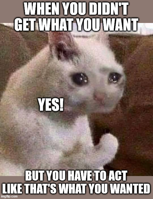 Sad but proud cat | WHEN YOU DIDN'T GET WHAT YOU WANT; YES! BUT YOU HAVE TO ACT LIKE THAT'S WHAT YOU WANTED | image tagged in sad but proud cat | made w/ Imgflip meme maker