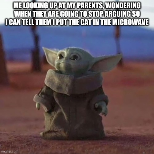 Baby Yoda | ME LOOKING UP AT MY PARENTS, WONDERING WHEN THEY ARE GOING TO STOP ARGUING SO I CAN TELL THEM I PUT THE CAT IN THE MICROWAVE | image tagged in baby yoda | made w/ Imgflip meme maker