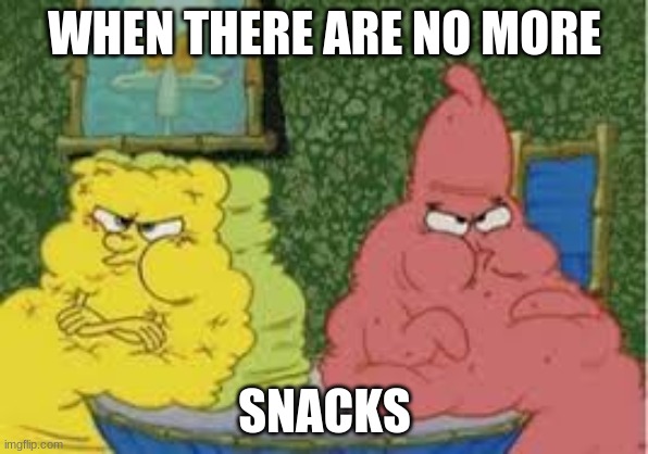 Quarantine | WHEN THERE ARE NO MORE; SNACKS | image tagged in spongebob squarepants,patrick star | made w/ Imgflip meme maker