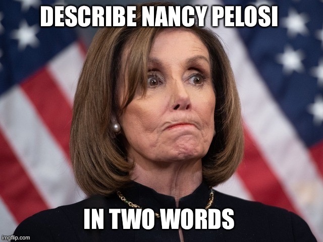 Describe Nancy Pelosi in two words | DESCRIBE NANCY PELOSI; IN TWO WORDS | image tagged in nancy pelosi,democrat | made w/ Imgflip meme maker