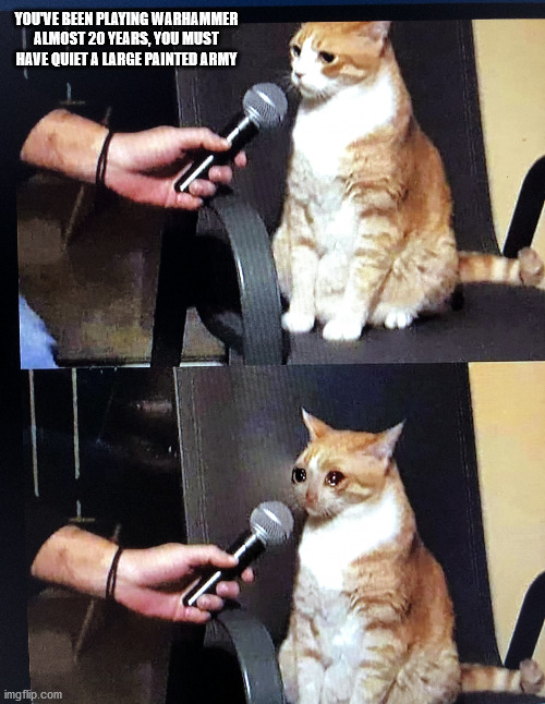 Cat interview crying | YOU'VE BEEN PLAYING WARHAMMER ALMOST 20 YEARS, YOU MUST HAVE QUIET A LARGE PAINTED ARMY | image tagged in cat interview crying | made w/ Imgflip meme maker