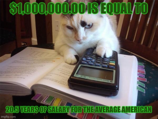 Math cat | $1,000,000.00 IS EQUAL TO; 20.5 YEARS OF SALARY FOR THE AVERAGE AMERICAN | image tagged in math cat | made w/ Imgflip meme maker