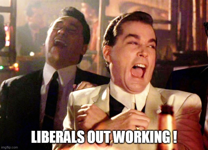 Good Fellas Hilarious Meme | LIBERALS OUT WORKING ! | image tagged in memes,good fellas hilarious | made w/ Imgflip meme maker