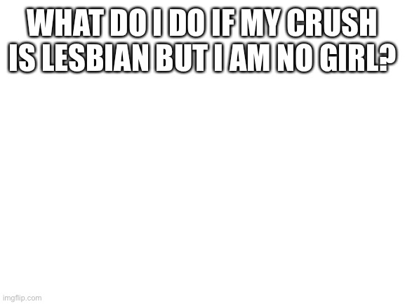 Help | WHAT DO I DO IF MY CRUSH IS LESBIAN BUT I AM NO GIRL? | image tagged in blank white template | made w/ Imgflip meme maker