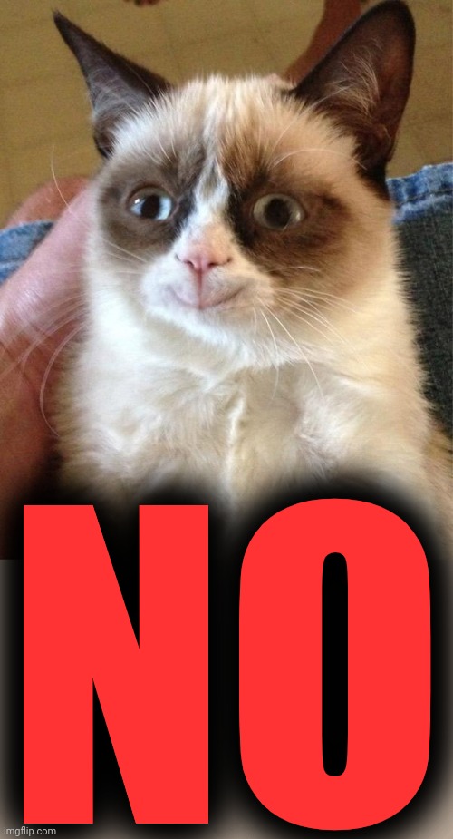 Grumpy Cat Happy Meme | NO | image tagged in memes,grumpy cat happy,grumpy cat | made w/ Imgflip meme maker