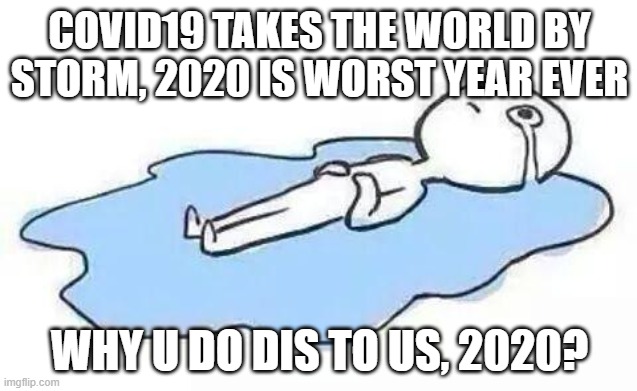 Person Crying | COVID19 TAKES THE WORLD BY STORM, 2020 IS WORST YEAR EVER; WHY U DO DIS TO US, 2020? | image tagged in person crying | made w/ Imgflip meme maker