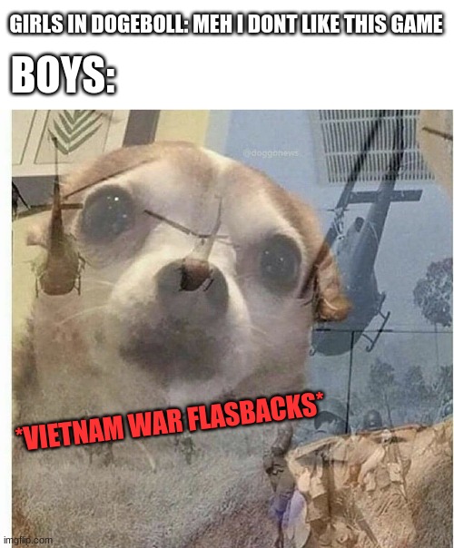thats totally me | GIRLS IN DOGEBOLL: MEH I DONT LIKE THIS GAME; BOYS:; *VIETNAM WAR FLASBACKS* | image tagged in boys vs girls,vietnam,dogeboll,memes,irl | made w/ Imgflip meme maker