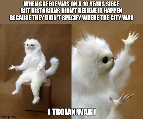 Persian Cat Room Guardian Meme | WHEN GREECE WAS ON A 10 YEARS SIEGE BUT HISTORIANS DIDN'T BELIEVE IT HAPPEN BECAUSE THEY DIDN'T SPECIFY WHERE THE CITY WAS; ( TROJAN WAR ) | image tagged in memes,persian cat room guardian,greece,history | made w/ Imgflip meme maker