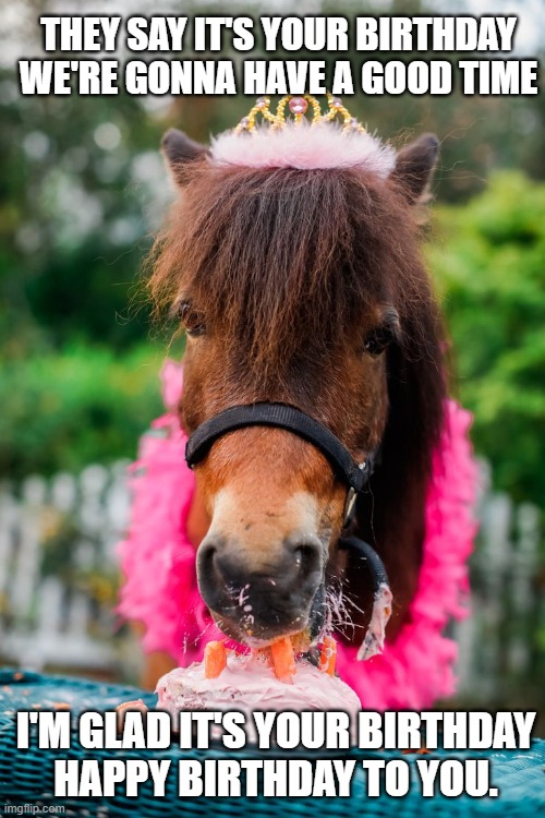 Beatles Birthday | THEY SAY IT'S YOUR BIRTHDAY
WE'RE GONNA HAVE A GOOD TIME; I'M GLAD IT'S YOUR BIRTHDAY
HAPPY BIRTHDAY TO YOU. | image tagged in birthday,horse,miniature,carrot cake | made w/ Imgflip meme maker