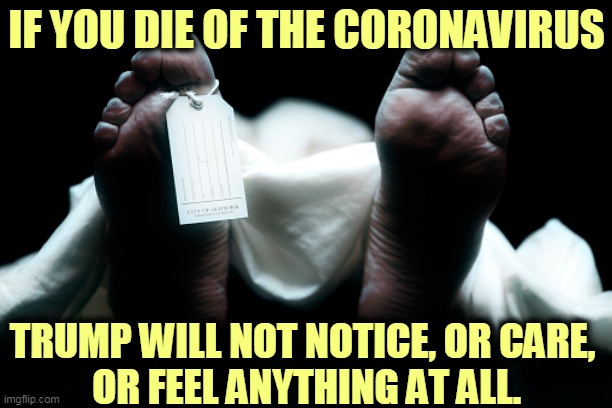 Cases are way down in NY, but they're going up everywhere else. Memorial Day Weekend without masks or social distance kills. | IF YOU DIE OF THE CORONAVIRUS; TRUMP WILL NOT NOTICE, OR CARE, 
OR FEEL ANYTHING AT ALL. | image tagged in dead body corpse feet tag,coronavirus,covid-19,trump,empathy,feeling | made w/ Imgflip meme maker