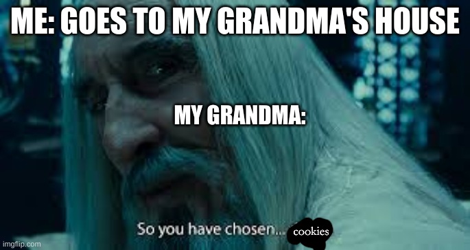 So you have chosen death | ME: GOES TO MY GRANDMA'S HOUSE; MY GRANDMA:; cookies | image tagged in so you have chosen death | made w/ Imgflip meme maker