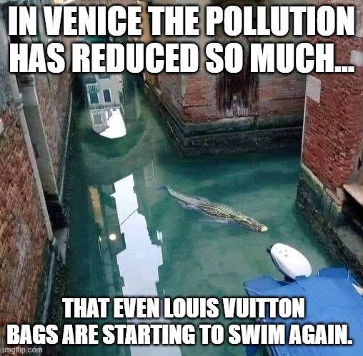 IN VENICE THE POLLUTION HAS REDUCED SO MUCH... THAT EVEN LOUIS VUITTON BAGS ARE STARTING TO SWIM AGAIN. | image tagged in aligator | made w/ Imgflip meme maker