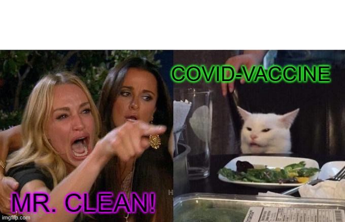 COVID Cure? | COVID-VACCINE; MR. CLEAN! | image tagged in memes,woman yelling at cat | made w/ Imgflip meme maker