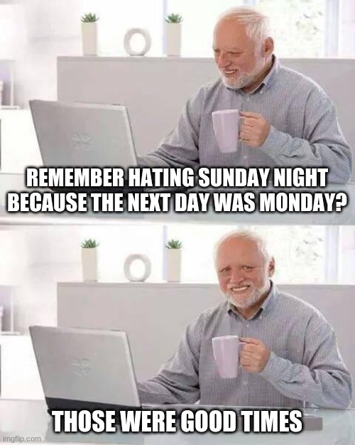 Hide the Pain Harold Meme | REMEMBER HATING SUNDAY NIGHT BECAUSE THE NEXT DAY WAS MONDAY? THOSE WERE GOOD TIMES | image tagged in memes,hide the pain harold | made w/ Imgflip meme maker