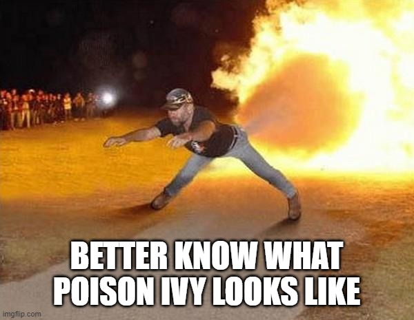 fire fart | BETTER KNOW WHAT POISON IVY LOOKS LIKE | image tagged in fire fart | made w/ Imgflip meme maker