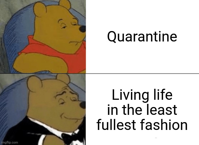 Tuxedo Winnie The Pooh | Quarantine; Living life in the least fullest fashion | image tagged in memes,tuxedo winnie the pooh | made w/ Imgflip meme maker