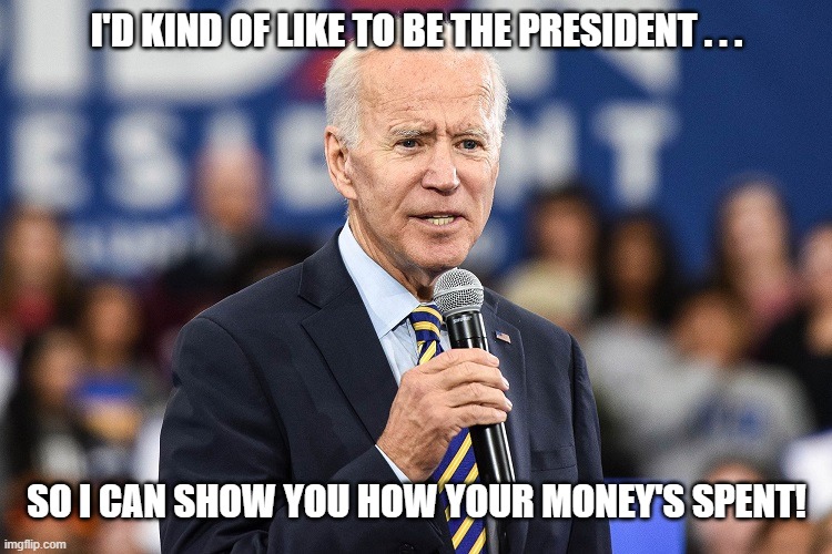 Joe Biden President 2020 | I'D KIND OF LIKE TO BE THE PRESIDENT . . . SO I CAN SHOW YOU HOW YOUR MONEY'S SPENT! | image tagged in joe biden talking | made w/ Imgflip meme maker