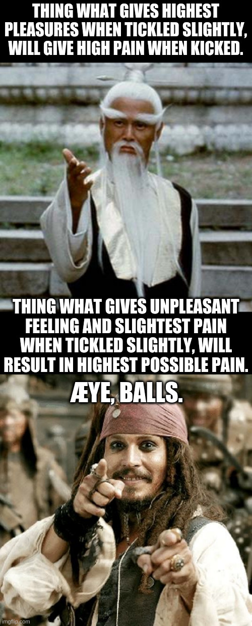 THING WHAT GIVES HIGHEST PLEASURES WHEN TICKLED SLIGHTLY, WILL GIVE HIGH PAIN WHEN KICKED. THING WHAT GIVES UNPLEASANT FEELING AND SLIGHTEST PAIN WHEN TICKLED SLIGHTLY, WILL RESULT IN HIGHEST POSSIBLE PAIN. ÆYE, BALLS. | image tagged in asian old wise man,point jack | made w/ Imgflip meme maker