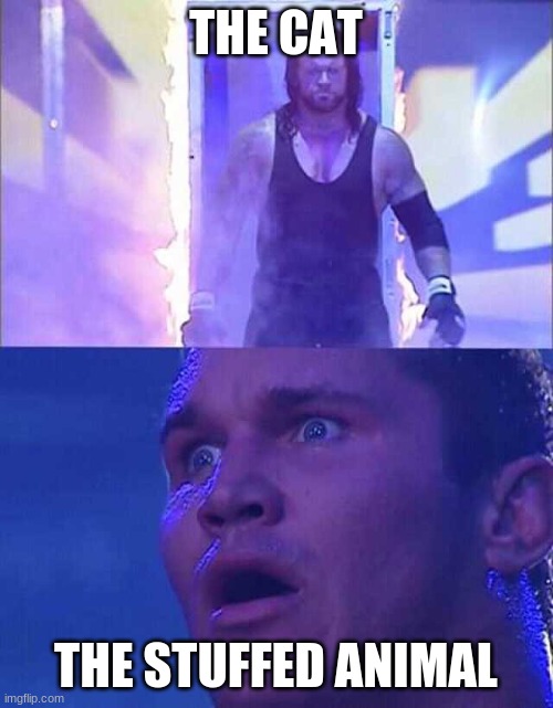 Randy Orton, Undertaker | THE CAT THE STUFFED ANIMAL | image tagged in randy orton undertaker | made w/ Imgflip meme maker