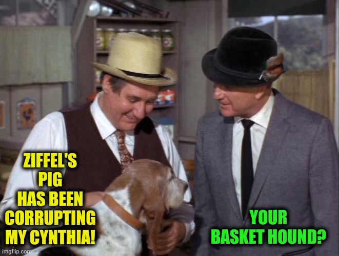 ZIFFEL'S PIG HAS BEEN CORRUPTING MY CYNTHIA! YOUR BASKET HOUND? | made w/ Imgflip meme maker