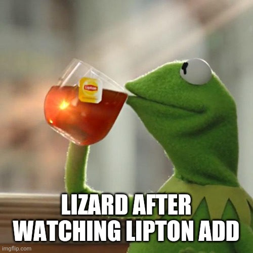 But That's None Of My Business Meme | LIZARD AFTER WATCHING LIPTON ADD | image tagged in memes,but that's none of my business,kermit the frog | made w/ Imgflip meme maker