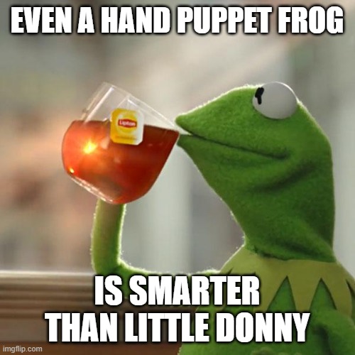 But That's None Of My Business Meme | EVEN A HAND PUPPET FROG IS SMARTER THAN LITTLE DONNY | image tagged in memes,but that's none of my business,kermit the frog | made w/ Imgflip meme maker