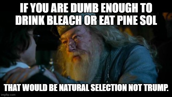 Angry Dumbledore Meme | IF YOU ARE DUMB ENOUGH TO DRINK BLEACH OR EAT PINE SOL THAT WOULD BE NATURAL SELECTION NOT TRUMP. | image tagged in memes,angry dumbledore | made w/ Imgflip meme maker