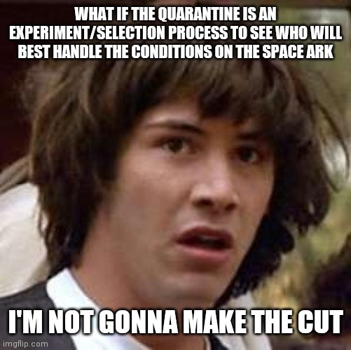 Conspiracy Keanu Meme | WHAT IF THE QUARANTINE IS AN EXPERIMENT/SELECTION PROCESS TO SEE WHO WILL BEST HANDLE THE CONDITIONS ON THE SPACE ARK; I'M NOT GONNA MAKE THE CUT | image tagged in memes,conspiracy keanu | made w/ Imgflip meme maker