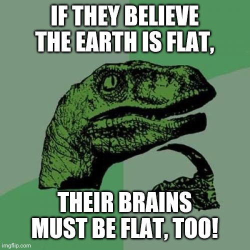 Flat Brains | IF THEY BELIEVE THE EARTH IS FLAT, THEIR BRAINS MUST BE FLAT, TOO! | image tagged in memes,philosoraptor | made w/ Imgflip meme maker
