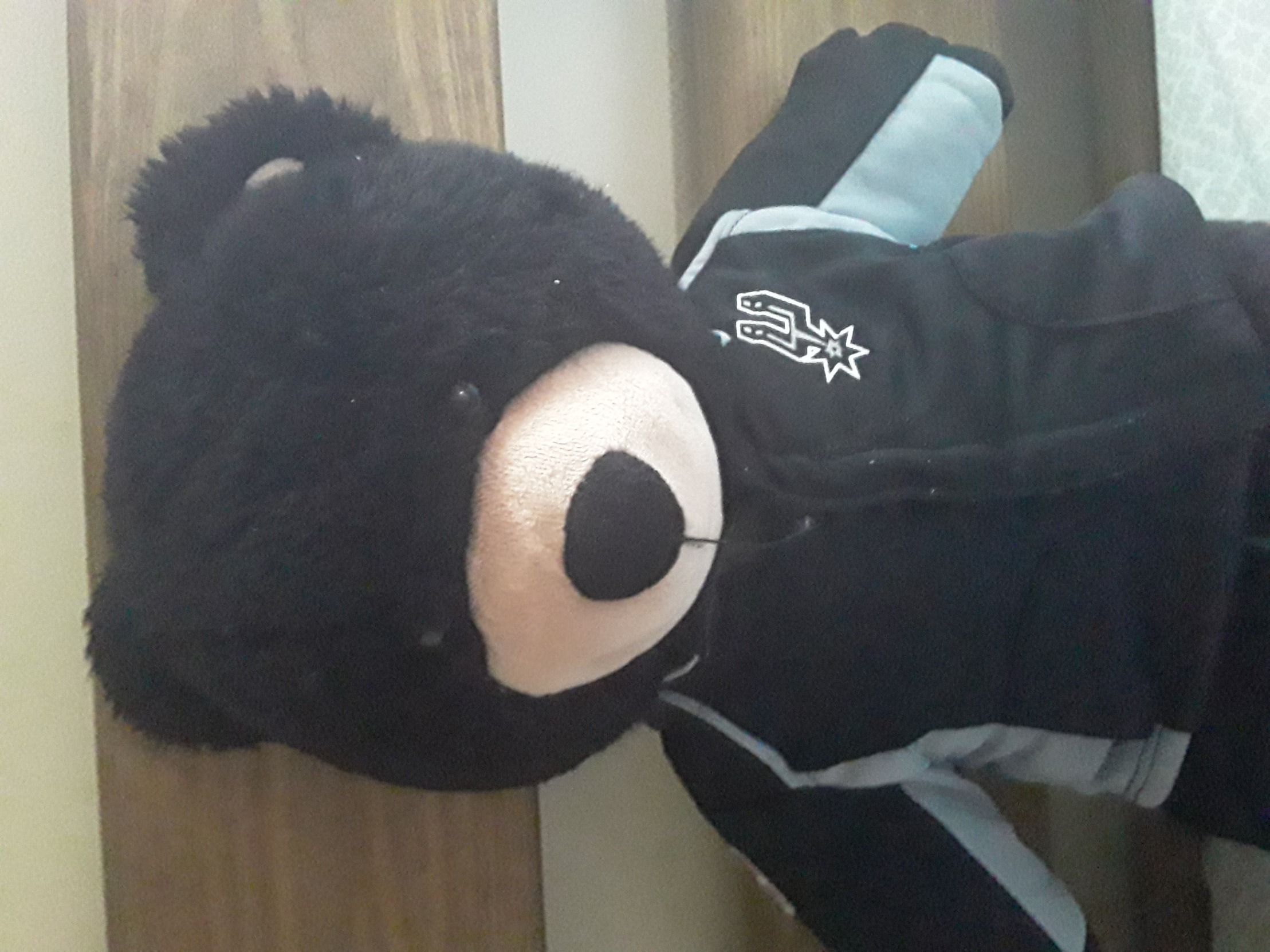 Bear Blank Meme Template
