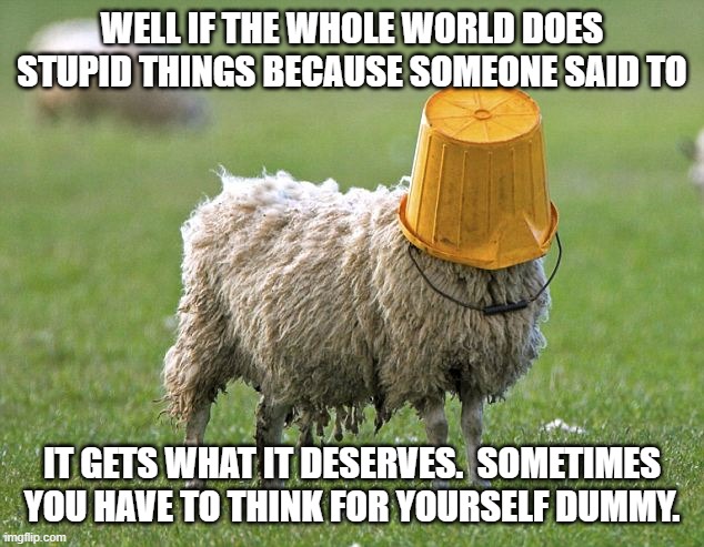 stupid sheep | WELL IF THE WHOLE WORLD DOES STUPID THINGS BECAUSE SOMEONE SAID TO IT GETS WHAT IT DESERVES.  SOMETIMES YOU HAVE TO THINK FOR YOURSELF DUMMY | image tagged in stupid sheep | made w/ Imgflip meme maker