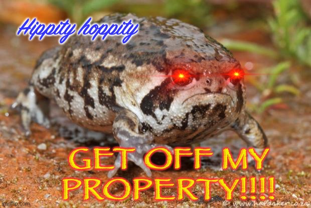 Grumpy Toad | Hippity hoppity; GET OFF MY PROPERTY!!!! | image tagged in memes,grumpy toad | made w/ Imgflip meme maker