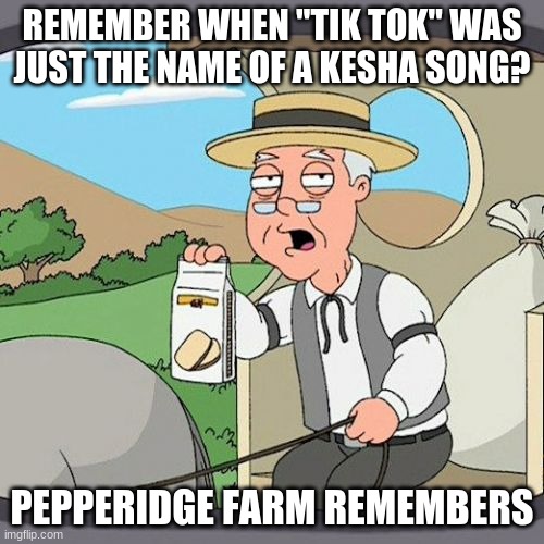 Should I have saved this for Throwback Thursday? | REMEMBER WHEN "TIK TOK" WAS JUST THE NAME OF A KESHA SONG? PEPPERIDGE FARM REMEMBERS | image tagged in memes,pepperidge farm remembers,tik tok,tiktok,kesha | made w/ Imgflip meme maker