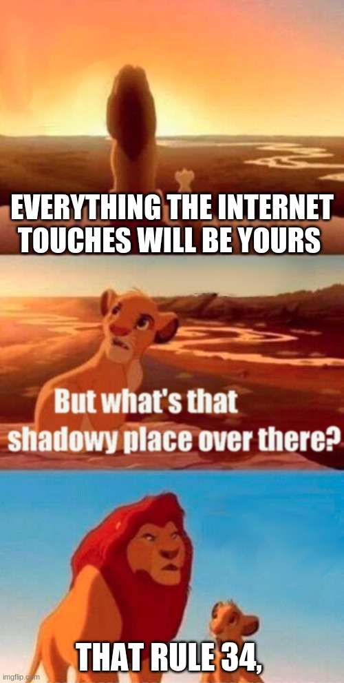 the internet is weird | EVERYTHING THE INTERNET TOUCHES WILL BE YOURS; THAT RULE 34, | image tagged in memes,simba shadowy place | made w/ Imgflip meme maker