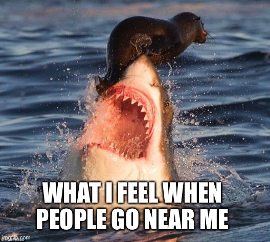 Travelonshark | WHAT I FEEL WHEN PEOPLE GO NEAR ME | image tagged in memes,travelonshark | made w/ Imgflip meme maker