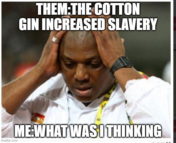 mmmmmm | THEM:THE COTTON GIN INCREASED SLAVERY; ME:WHAT WAS I THINKING | image tagged in no words | made w/ Imgflip meme maker