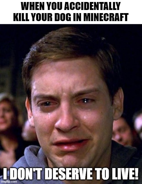 Worst mistake | WHEN YOU ACCIDENTALLY KILL YOUR DOG IN MINECRAFT; I DON'T DESERVE TO LIVE! | image tagged in crying peter parker,minecraft,crying,sad,gaming | made w/ Imgflip meme maker