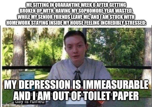 Quarantine: why are we still here | ME SITTING IN QUARANTINE WEEK 6 AFTER GETTING BROKEN UP WITH, HAVING MY SOPHOMORE YEAR WASTED, WHILE MY SENIOR FRIENDS LEAVE ME, AND I AM STUCK WITH HOMEWORK STAYING INSIDE MY HOUSE FEELING INCREDIBLY STRESSED:; MY DEPRESSION IS IMMEASURABLE AND I AM OUT OF TOILET PAPER | image tagged in my dissapointment is immeasurable and my day is ruined | made w/ Imgflip meme maker