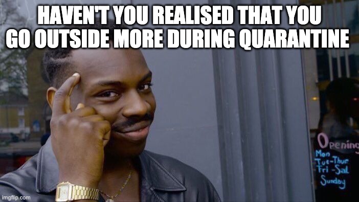 Facts | HAVEN'T YOU REALISED THAT YOU GO OUTSIDE MORE DURING QUARANTINE | image tagged in memes,roll safe think about it | made w/ Imgflip meme maker
