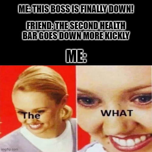 THE WHAT - Boss Health bar | FRIEND: THE SECOND HEALTH BAR GOES DOWN MORE KICKLY; ME: THIS BOSS IS FINALLY DOWN! ME: | image tagged in the what | made w/ Imgflip meme maker