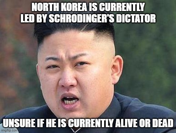 Kim Jung Un | NORTH KOREA IS CURRENTLY LED BY SCHRODINGER'S DICTATOR; UNSURE IF HE IS CURRENTLY ALIVE OR DEAD | image tagged in kim jung un | made w/ Imgflip meme maker