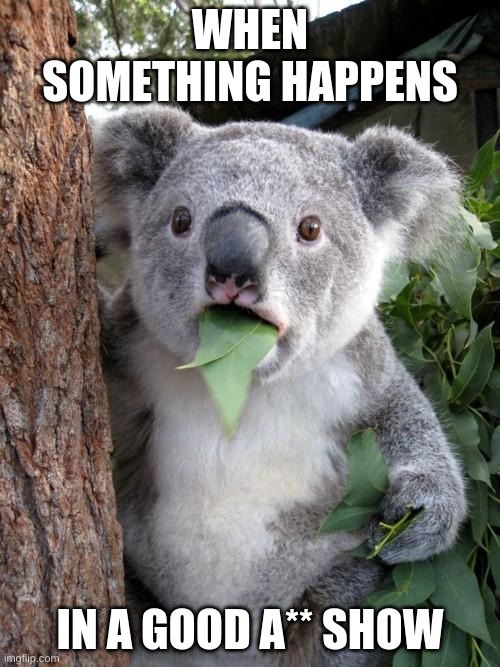 Shows | WHEN SOMETHING HAPPENS; IN A GOOD A** SHOW | image tagged in memes,surprised koala | made w/ Imgflip meme maker