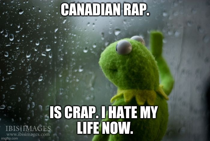 kermit window | CANADIAN RAP. IS CRAP. I HATE MY 
LIFE NOW. | image tagged in kermit window | made w/ Imgflip meme maker