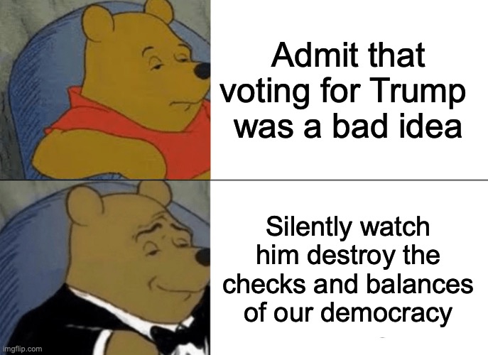 Maybe everyone will forget those Facebook comments. | Admit that voting for Trump 
was a bad idea; Silently watch him destroy the checks and balances of our democracy | image tagged in trump,trump supporters,democracy,so sad | made w/ Imgflip meme maker