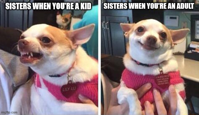 Sisters | SISTERS WHEN YOU'RE A KID; SISTERS WHEN YOU'RE AN ADULT | image tagged in angry calm dog | made w/ Imgflip meme maker