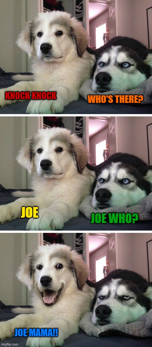 Joe mama! | KNOCK KNOCK; WHO'S THERE? JOE; JOE WHO? JOE MAMA!! | image tagged in bad pun dogs,yo mama joke,knock knock,knock knock dogs | made w/ Imgflip meme maker